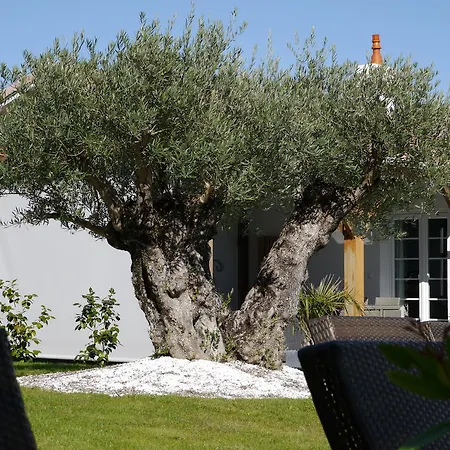 Escale A D'hotes 4 Epis بورنيك