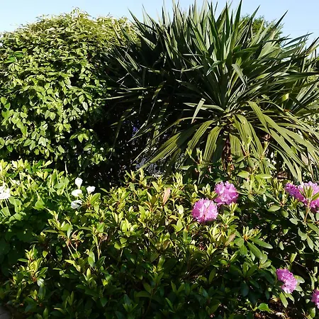 Escale A D'hotes 4 Epis Bed & Breakfast
