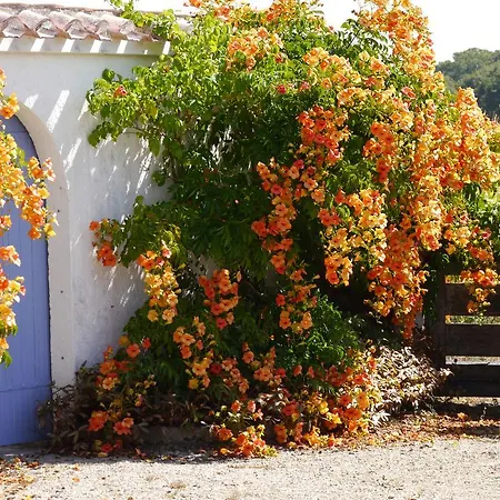 Bed & Breakfast Escale A D'hotes 4 Epis Pornic