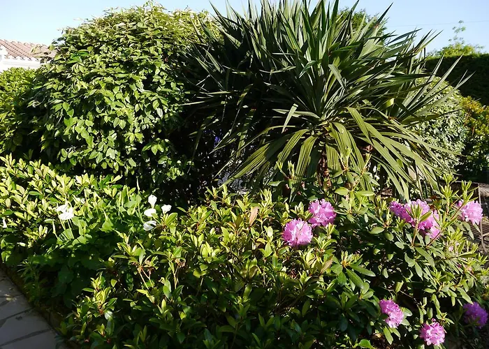 Escale A D'hotes 4 Epis B&B