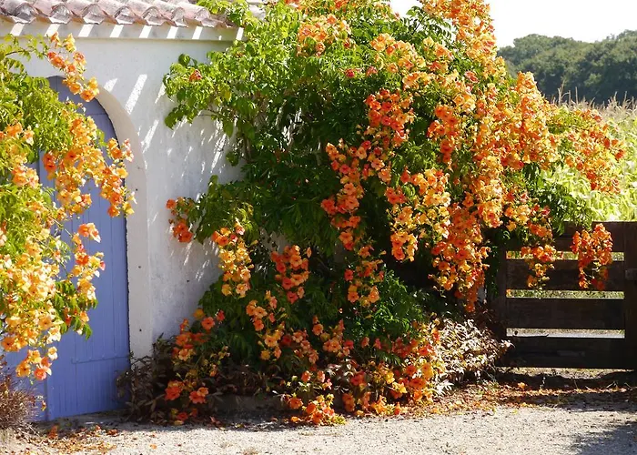 B&B Escale A D'hotes 4 Epis 포르닉